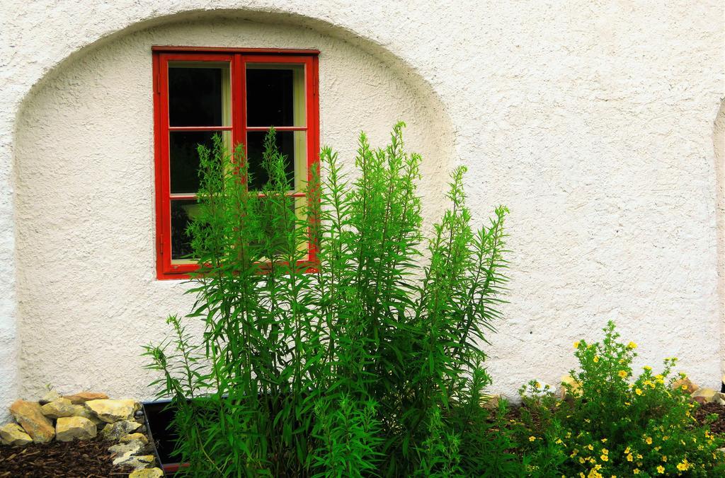 Garden Residence Prague Castle Exterior photo